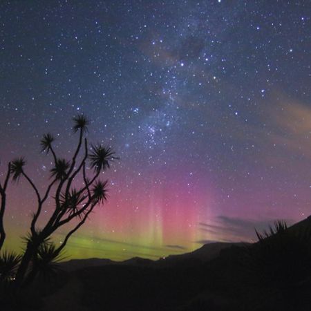 Hereweka Garden Retreat Dunedin Esterno foto