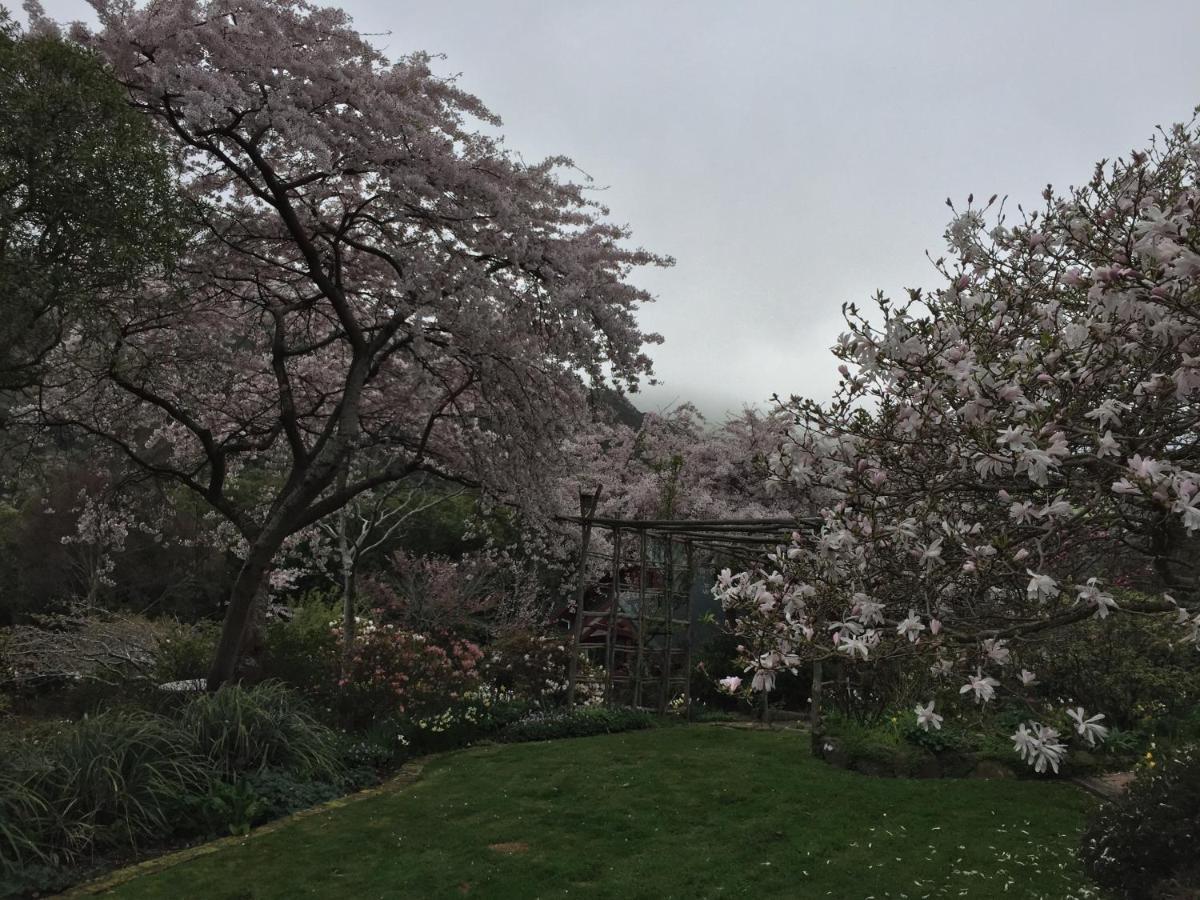 Hereweka Garden Retreat Dunedin Esterno foto